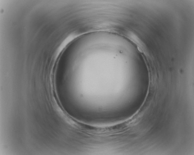 X0000065241291200602242015