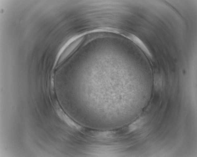 X0000065241292200602242015