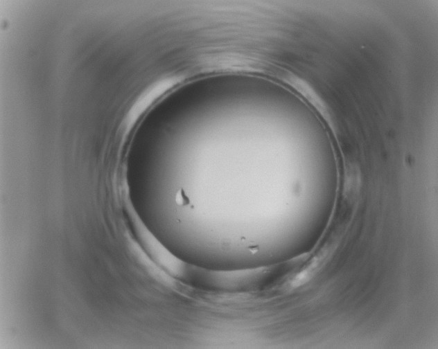 X0000065241293200602242015