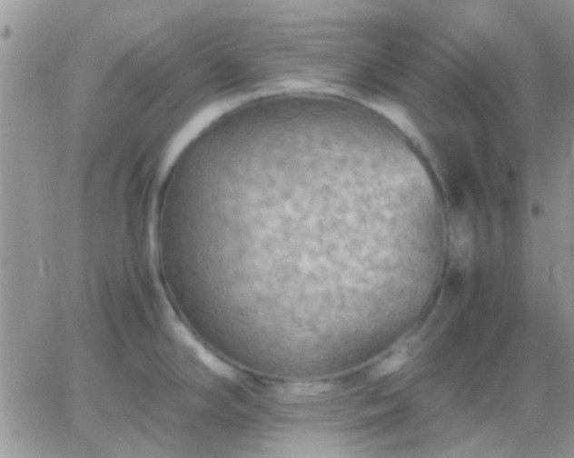 X0000065241294200602242015