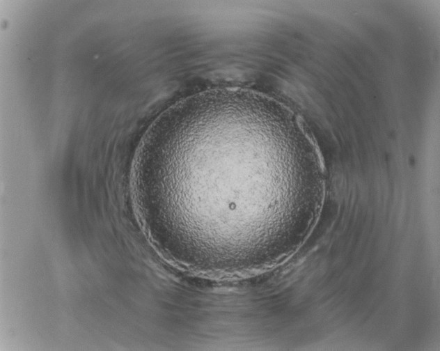 X0000065241297200602242014