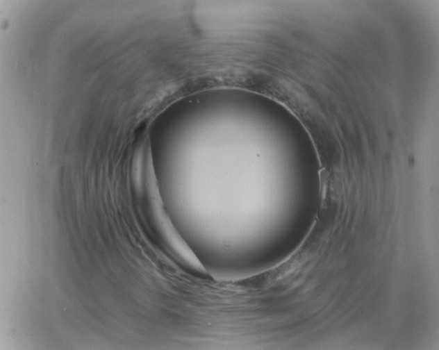 X0000065241298200602242014