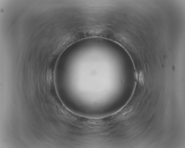 X0000065241299200602242014