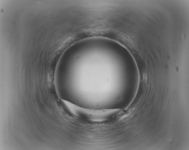 X0000065241300200602242014