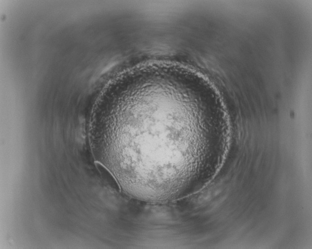 X0000065241301200602242014