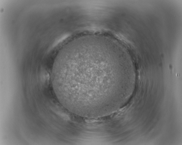 X0000065241302200602242014