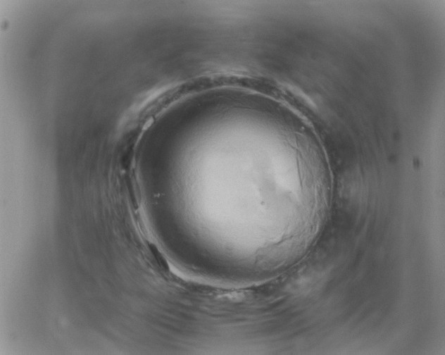 X0000065241303200602242014