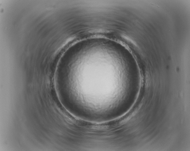 X0000065241305200602242014