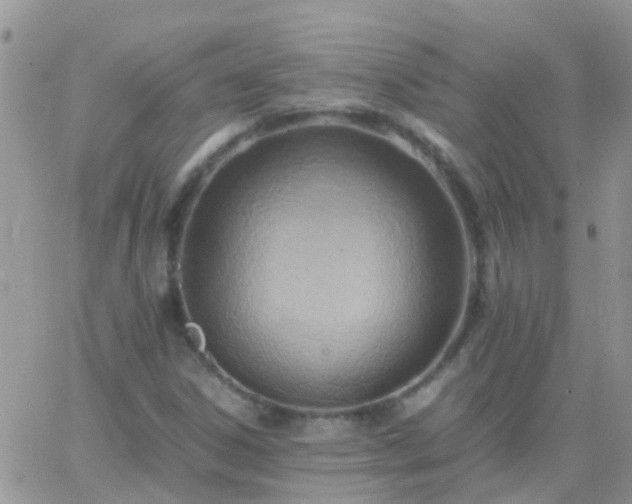 X0000065241306200602242014