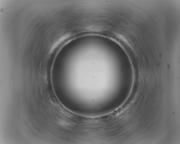 X0000065241307200602242014