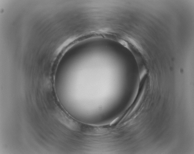 X0000065241308200602242014