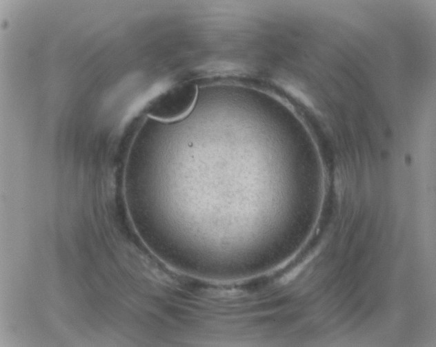 X0000065241309200602242014