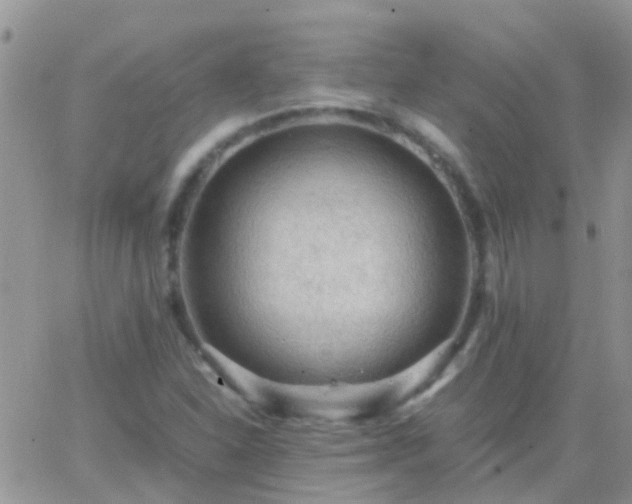 X0000065241310200602242014