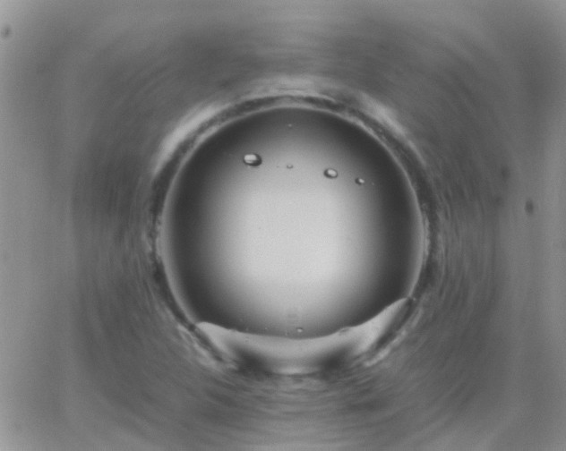 X0000065241312200602242014