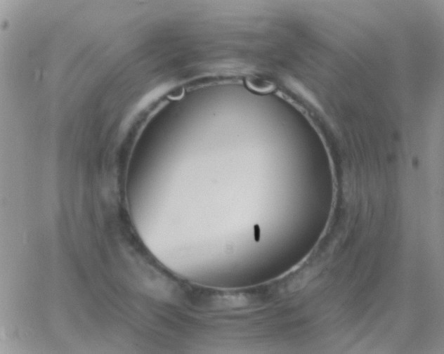 X0000065241315200602242015