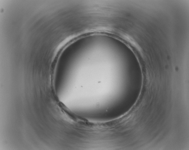 X0000065241316200602242015