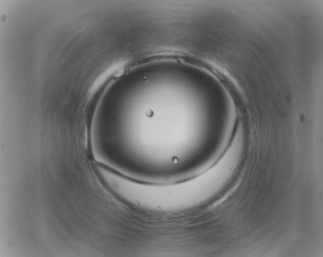 X0000065241317200602242015