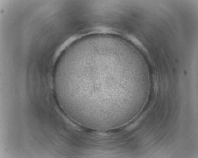 X0000065241318200602242015