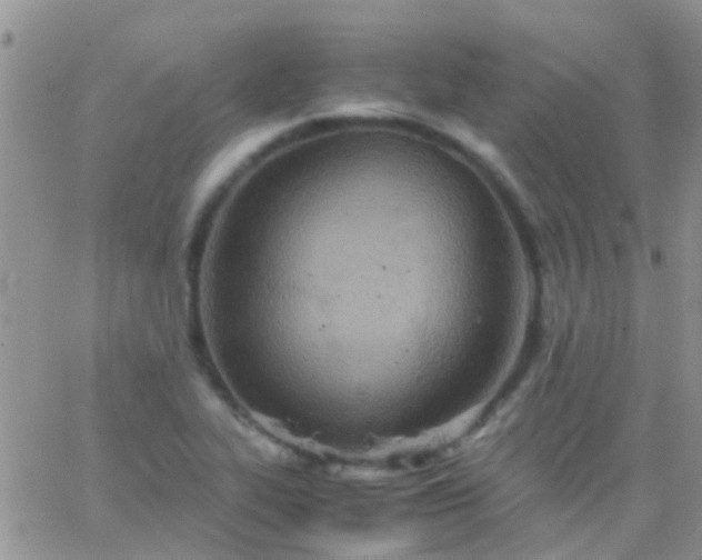 X0000065241319200602242015