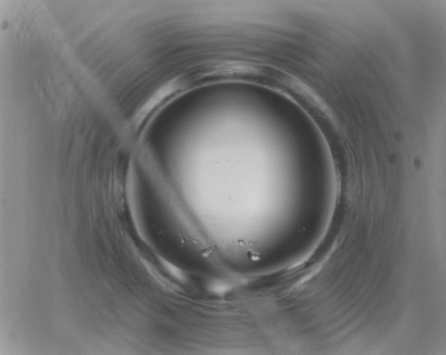 X0000065241321200602242015