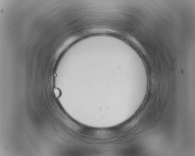 X0000065241322200602242015