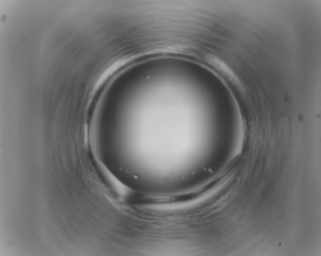 X0000065241324200602242015