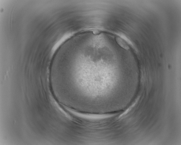 X0000065241325200602242015