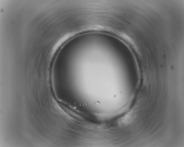 X0000065241326200602242015