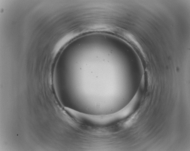 X0000065241328200602242015