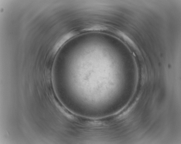 X0000065241329200602242015