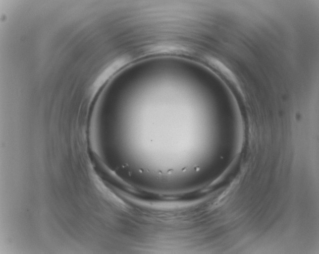 X0000065241330200602242015