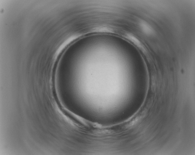 X0000065241331200602242015