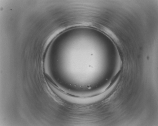 X0000065241332200602242015