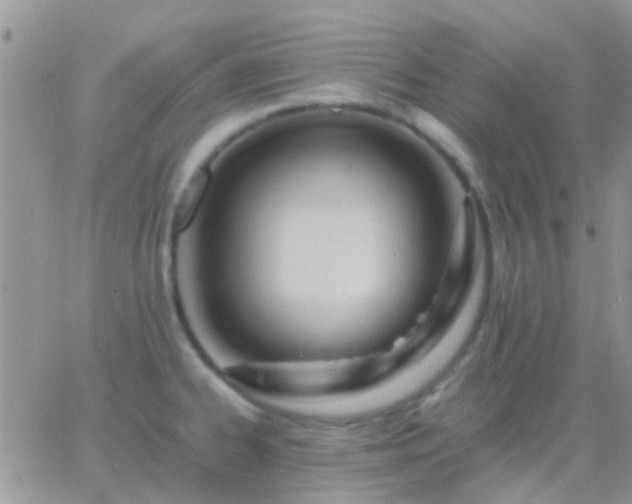 X0000065241334200602242015