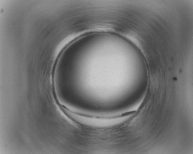 X0000065241335200602242015