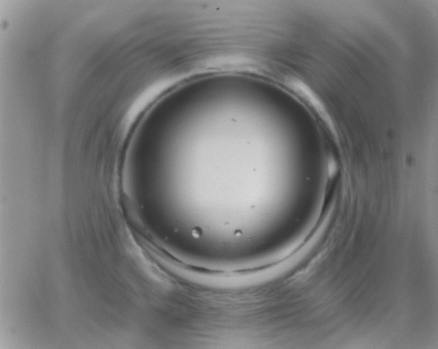 X0000065241336200602242015