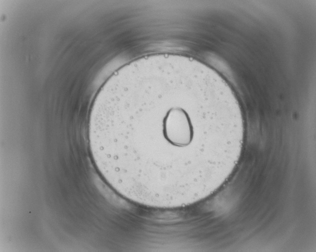 X0000065241338200602242015