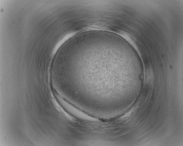 X0000065241341200602242015