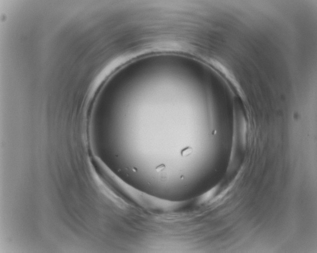 X0000065241342200602242015