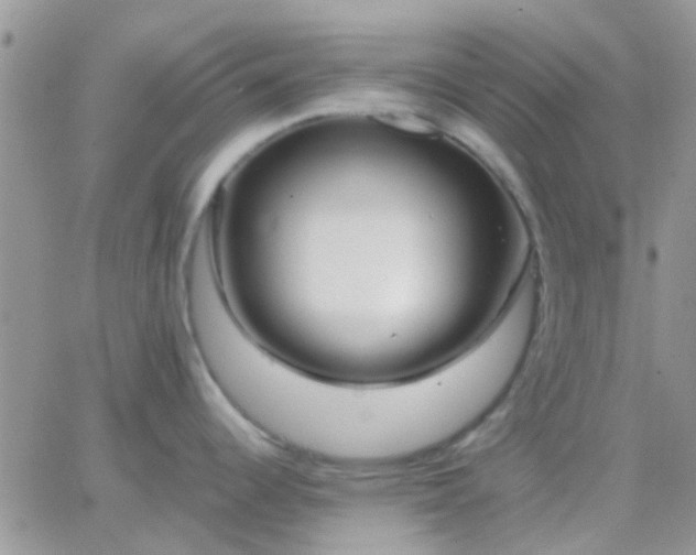 X0000065241344200602242015