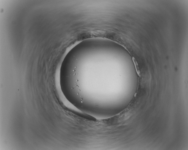 X0000065241345200602242014