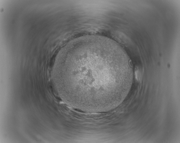 X0000065241347200602242014