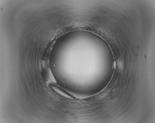 X0000065241348200602242014