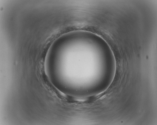 X0000065241349200602242014