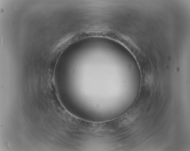 X0000065241350200602242014