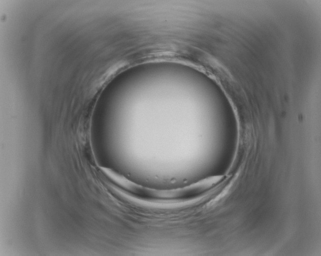 X0000065241353200602242014