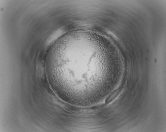 X0000065241354200602242014