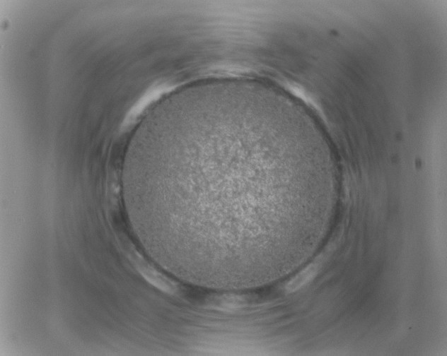 X0000065241355200602242014