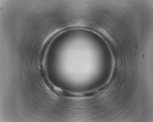 X0000065241356200602242014