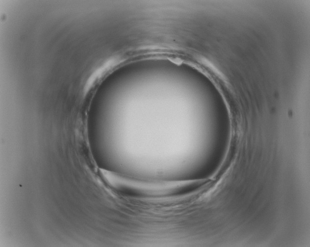 X0000065241357200602242014